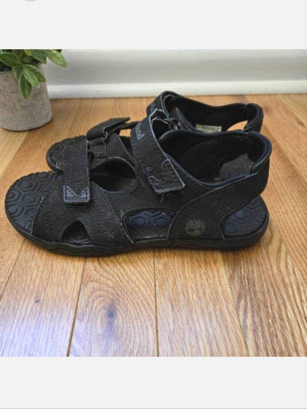 Timberland Adventure Seeker Kids Neutral Velcro Sandals